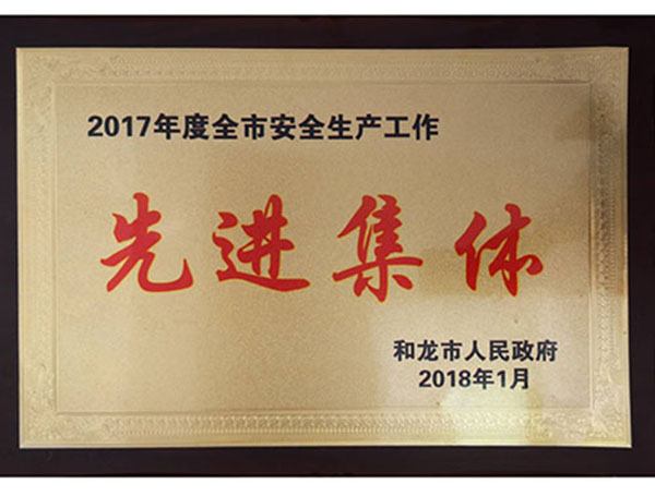 2017年度全市安全生產(chǎn)工作先進(jìn)集體